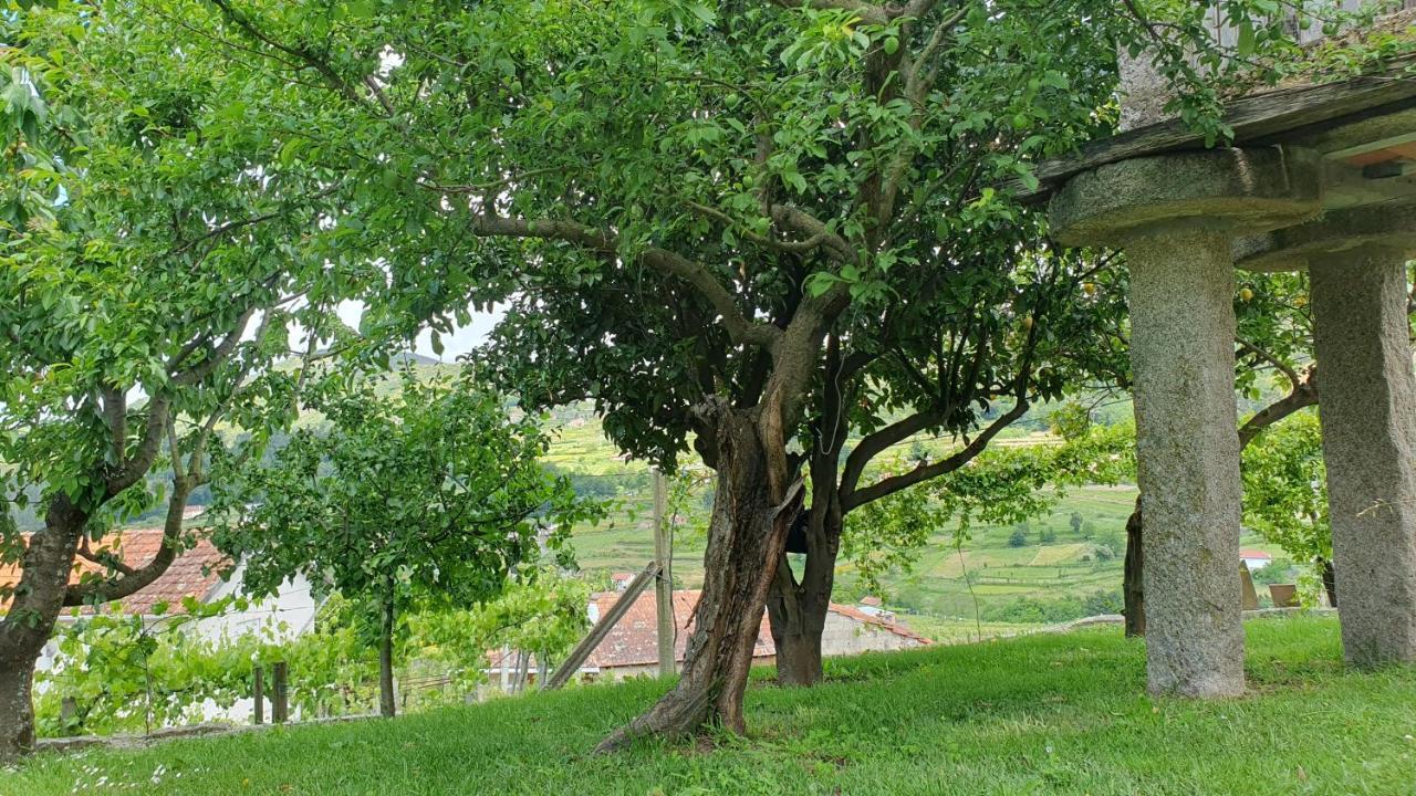 Casa Caminho Da Ponte Daire Monção Dış mekan fotoğraf